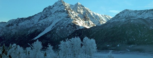 Hoar Frost 4