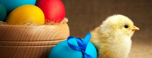 Easter Eggs Chick 1